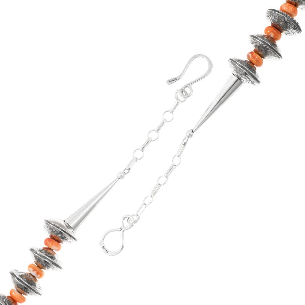 Mercury Dime & Spiny Necklace