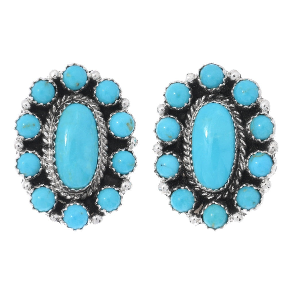 Natural Sleeping Beauty Turquoise Cluster Earrings
