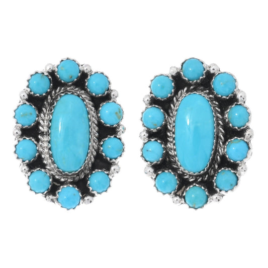 Natural Sleeping Beauty Turquoise Cluster Earrings