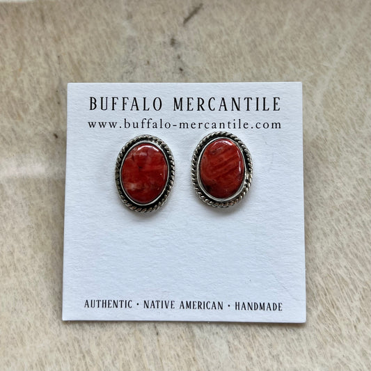 Red Spiny Stud Earrings