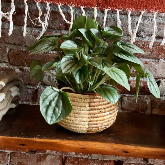 Hand Woven Banana Leaf Planter or Basket
